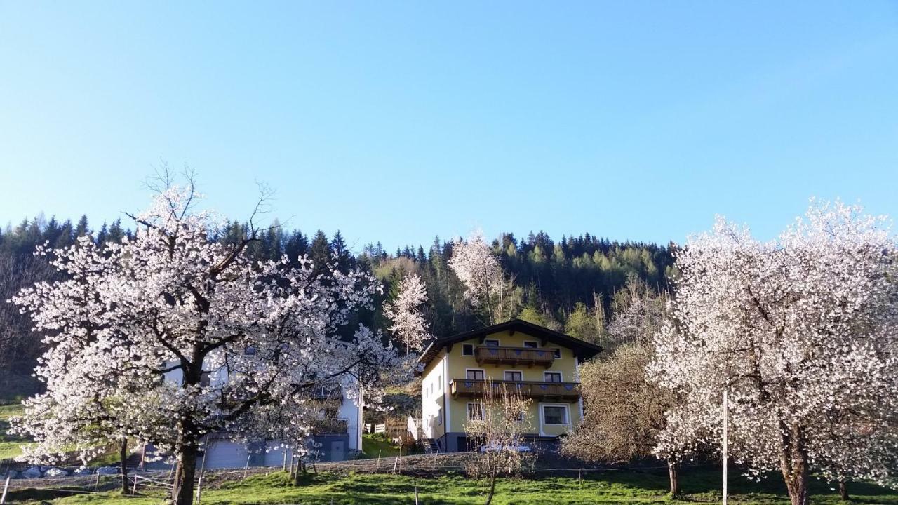 Ferienhaus Karin บรุค อันแดร์ โกรสส์กลอคเนอร์ชตราสเซอ ภายนอก รูปภาพ