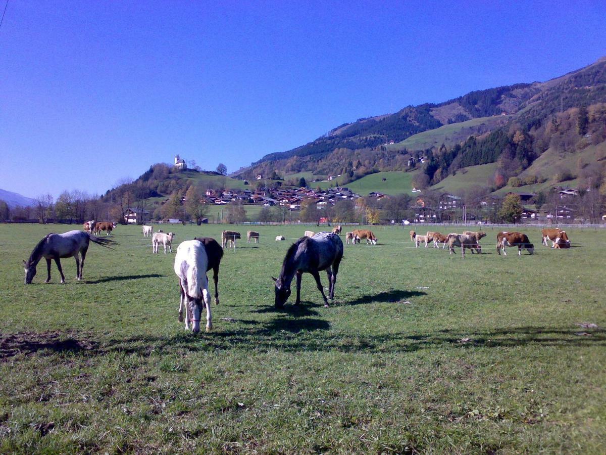 Ferienhaus Karin บรุค อันแดร์ โกรสส์กลอคเนอร์ชตราสเซอ ภายนอก รูปภาพ